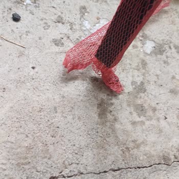 Pazarama'dan Aldığım Kırık Sandalye Ve İade Sorunu