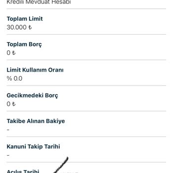 Kredili Mevduat Hesabımın Yanlış Tarihle Güncellenmesi