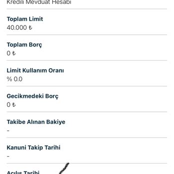 Kredili Mevduat Hesabımın Yanlış Tarihle Güncellenmesi