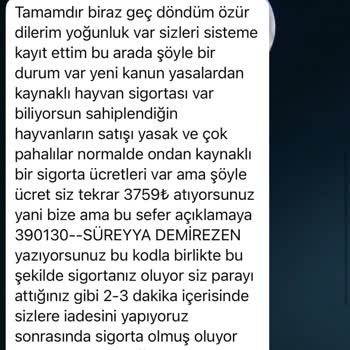 Hayvan Sahiplendirme Sitesinde Yaşanan Sorun
