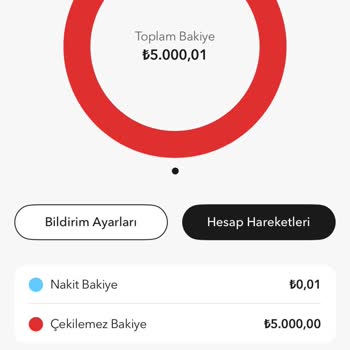 Fzy Pay İle Yaşanan Bakiye Sorunu Acil Çözüm Bekliyor!