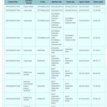 PTT Kargo'nun Teslimat Sorunları Ve İletişim Eksiklikleri