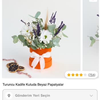 Solmuş Çiçek Ve Lekeli Kutu Hayal Kırıklığı