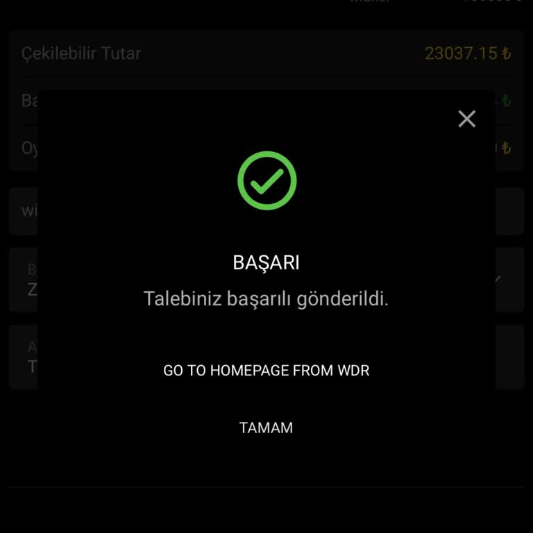 Promosyon Sözü Verildi, İlgi Ve Ödeme Kayboldu