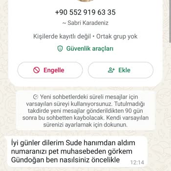 Gizemli Kedi Sahiplenme Sürecinde Şaşırtıcı Talepler