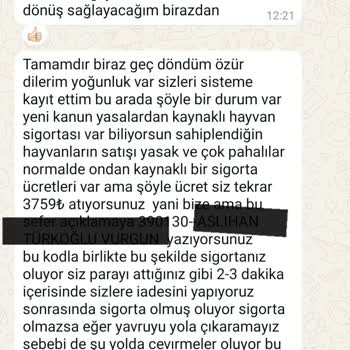 Gizemli Kedi Sahiplenme Sürecinde Şaşırtıcı Talepler