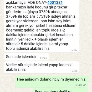 Gizemli Kedi Sahiplenme Sürecinde Şaşırtıcı Talepler