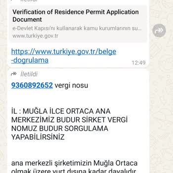 Gizemli Kedi Sahiplenme Sürecinde Şaşırtıcı Talepler