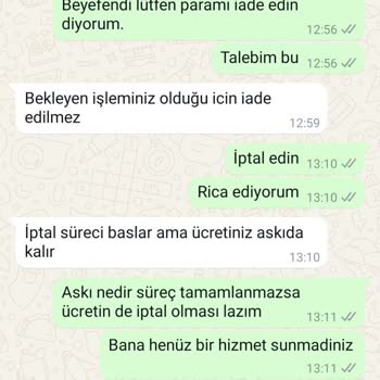Gizemli Kedi Sahiplenme Sürecinde Şaşırtıcı Talepler