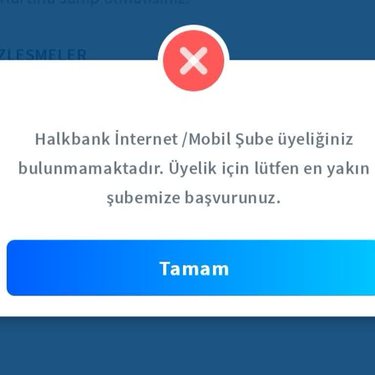 Halkbank Mobil Uygulama Erişimi Ve Yatırım Hesabı Sorunu