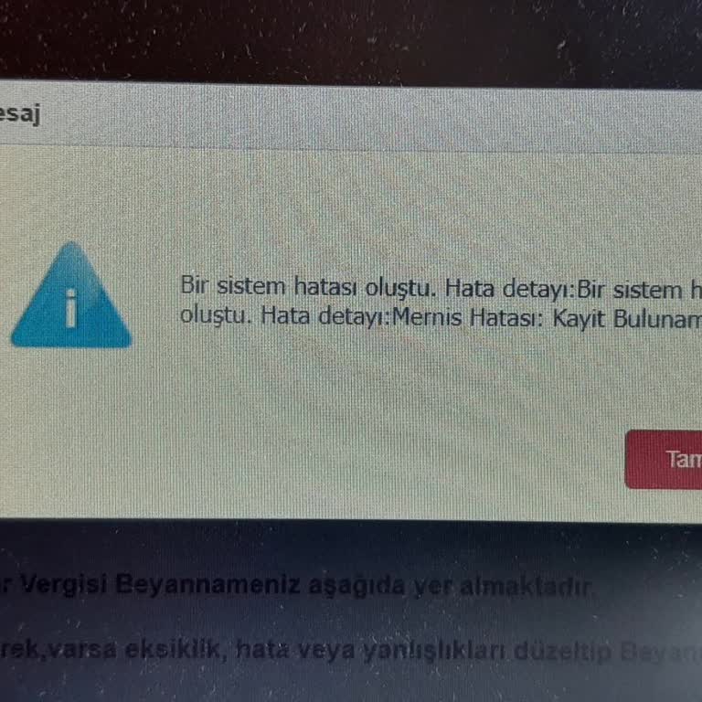 İnternet Vergi Dairesi Beyanname Sorunu