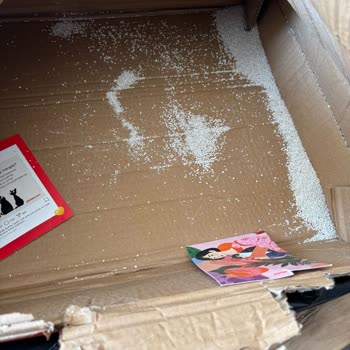 Kargo Teslimatında Sorun: Patlayan Kum Poşeti