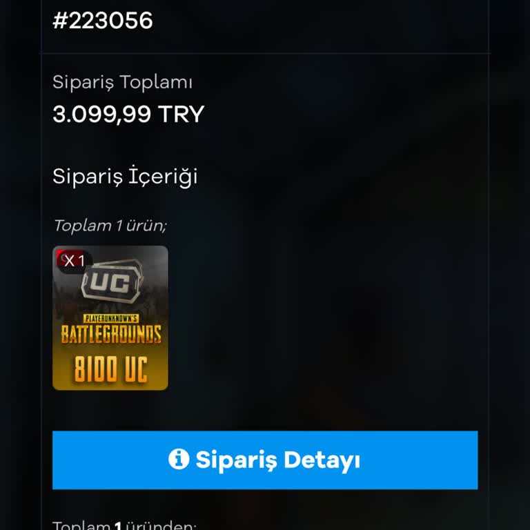 PUBG Mobile UC Alımı Sorunu Ve Bekleyen Sipariş