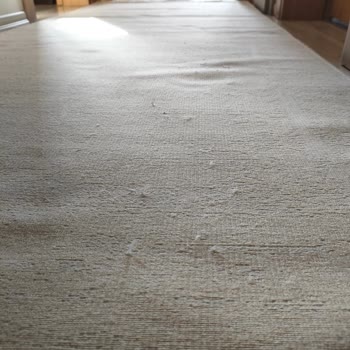 Halıca Firmasında Teslimat Ve Ürün Kalitesi Sorunu