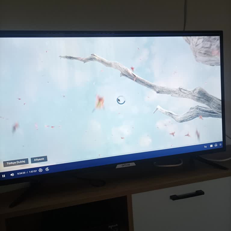 İnternet Bağlantı Sorunu Çözülemiyor