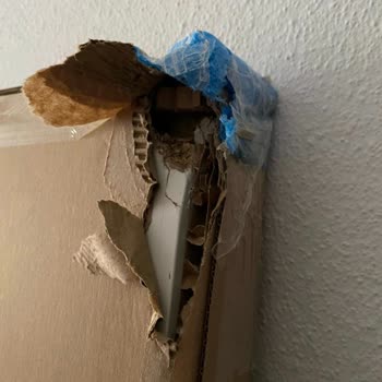 Arvato Lojistik Kargo İle Teslimat Sorunu Ve Mağduriyet