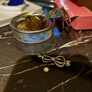 Hayal Kırıklığına Uğratan Kolye