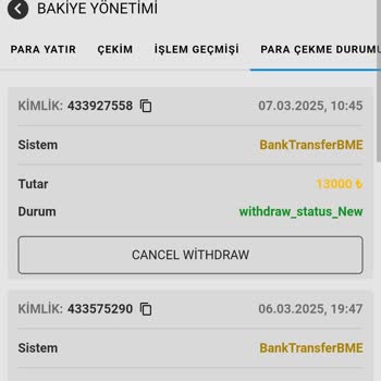 Para Çekme Sorunu Ve Kayıp Deneyimi