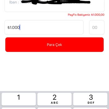 Payfix'ten Banka Hesaplarına Para Çekme Sorunu: Çözüm Bekleniyor