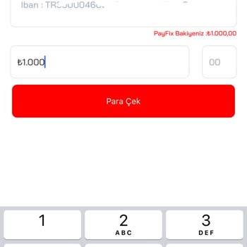 Payfix'ten Banka Hesaplarına Para Çekme Sorunu: Çözüm Bekleniyor