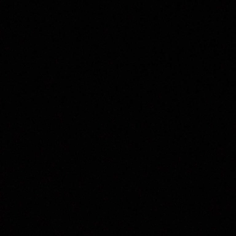 Köpeğim İçin Ekstra Ücret Ve Tartışma