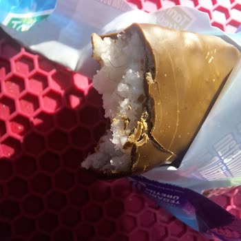 Hindistan Cevizli Barda Hijyen Sorunu