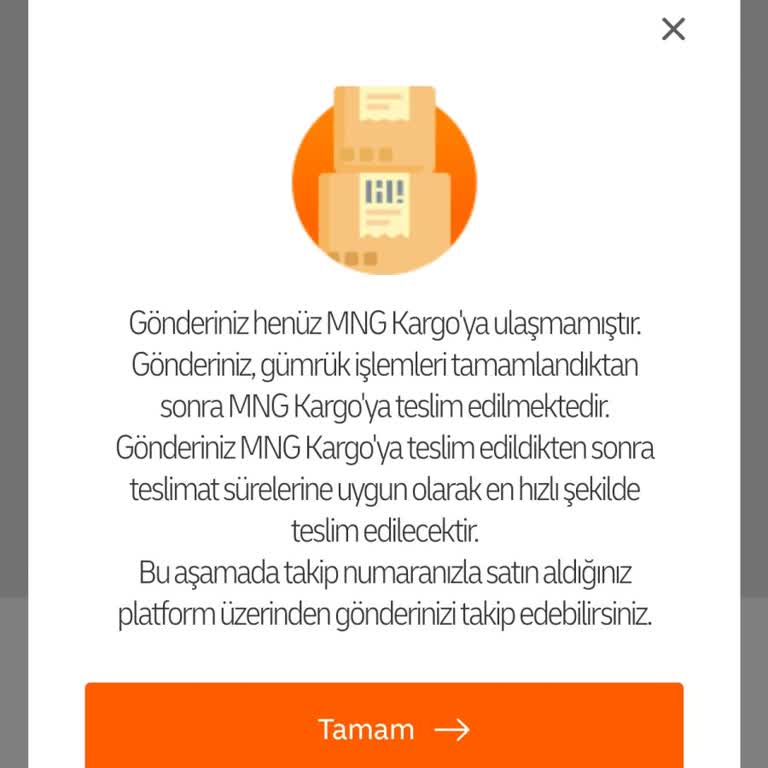 Kayıp Kargo: Amazon Ve MNG Kargo Arasında Sıkışan Sipariş