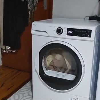 Regal Kurutma Makinesi Kurutma Bitirmiyor Hatası!