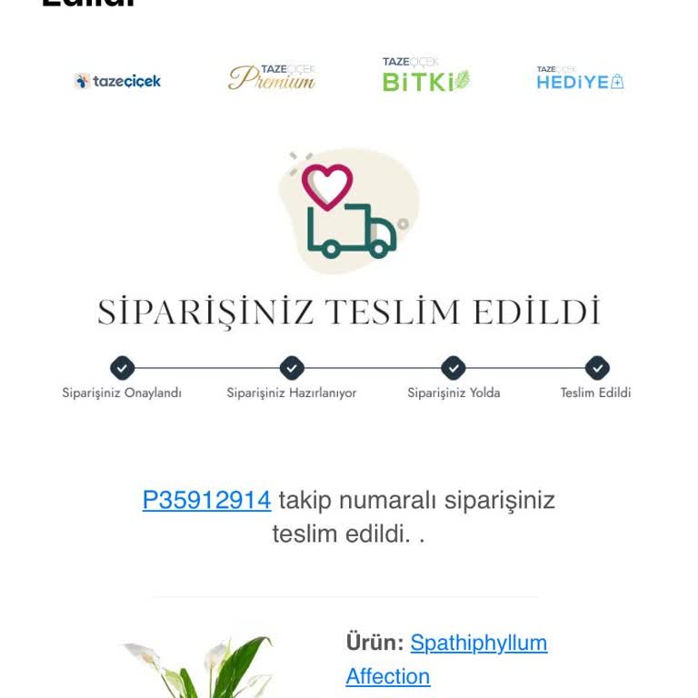 Taze Çiçek Firması Teslimat Sorunu Ve İletişim Eksikliği