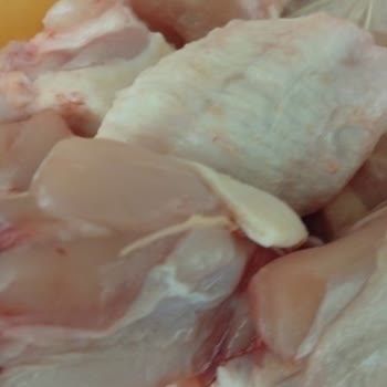 Lezita Tavuk Kanatlarında Hijyen Sorunu