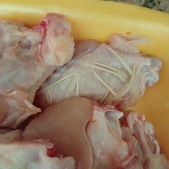 Lezita Tavuk Kanatlarında Hijyen Sorunu