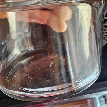 Bulaşık Makinesi Hayal Kırıklığı