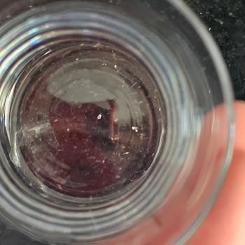 Bulaşık Makinesi Hayal Kırıklığı