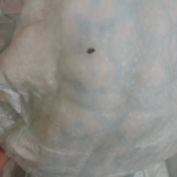 Prima Aktif 5 Numara Bezde Sert Ve Tehlikeli Cisimler