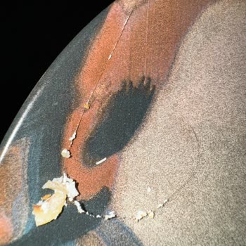 İtimat Süt Hijyen Sorunu: Pastadan Çıkan Kıl!