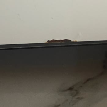 Yeni Buzdolabında Pas Lekeleri Ve İletişim Sorunu