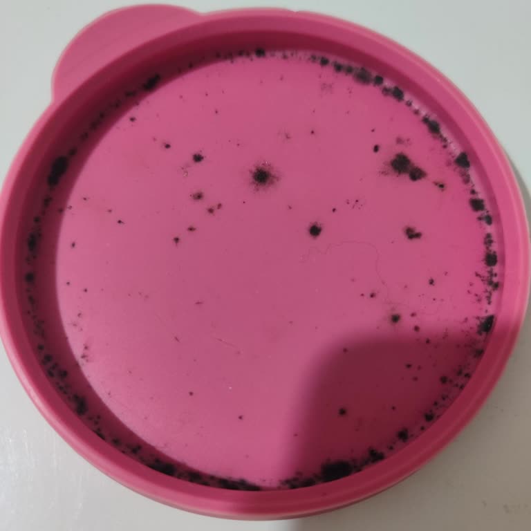 Su Şişesi Kapağındaki Küf Sorunu