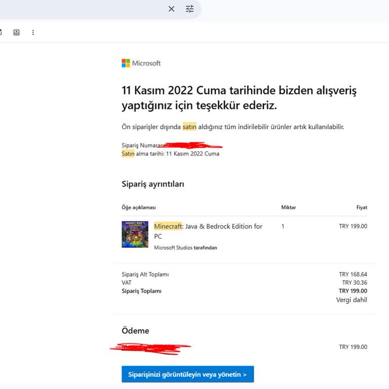 Minecraft Hesabımın Gizemli Kayboluşu