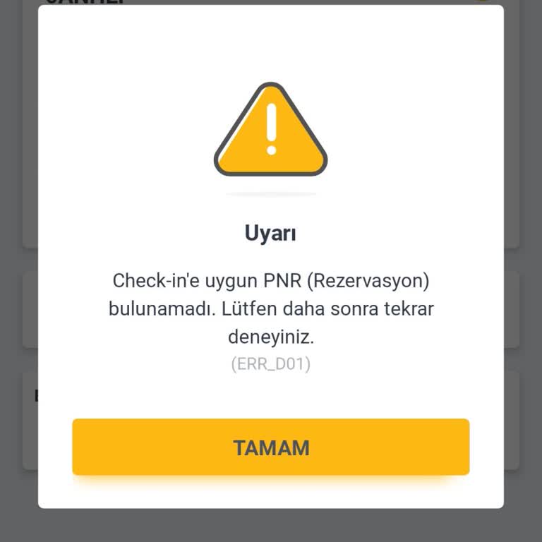 PNR Kodu Pegasus'ta Görünmüyor
