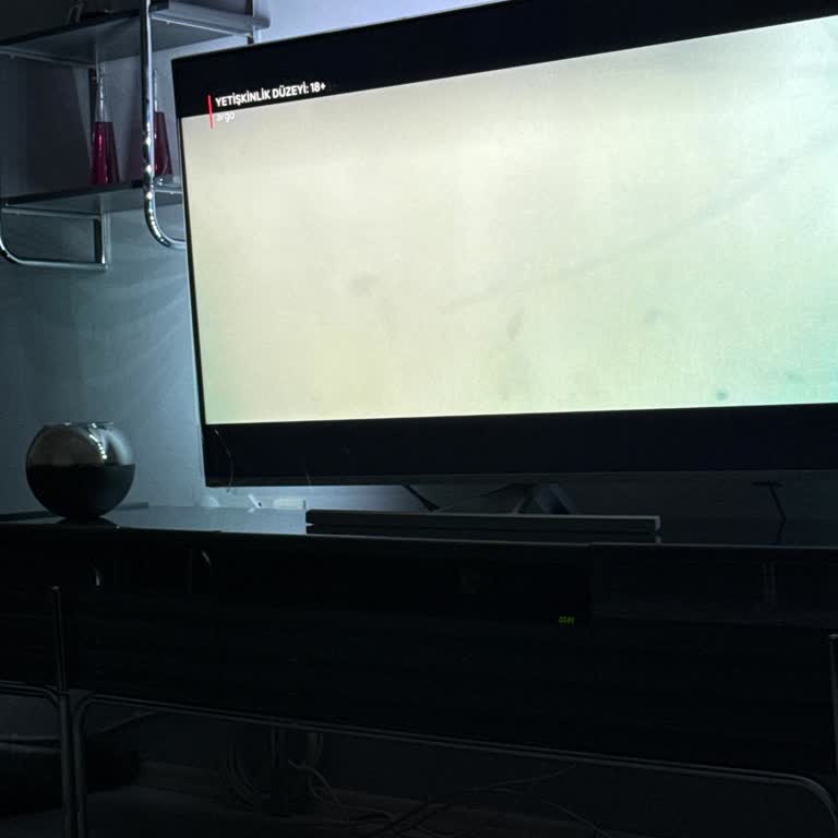 Philips TV'de Netflix İçerikleri Kırpılmış Görünüyor