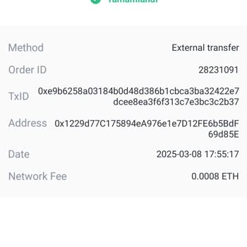 Binans TR'nin İlgisizliği Ve Güvenlik Açığı