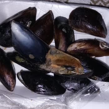 Geç Gelen, Soğuk Ve Bozuk Sipariş Kabusu