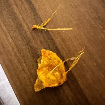 Lays Cips Paketinden Çıkan Gizemli Cisim Şoku