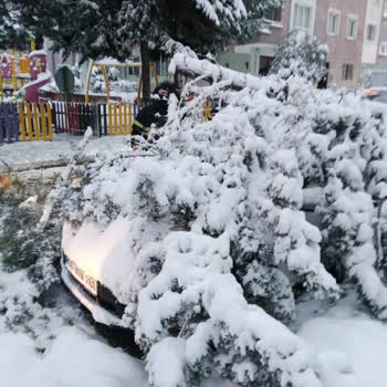 Parkta Ağaç Dalları Tehlike Saçıyor!