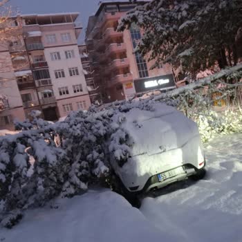 Parkta Ağaç Dalları Tehlike Saçıyor!
