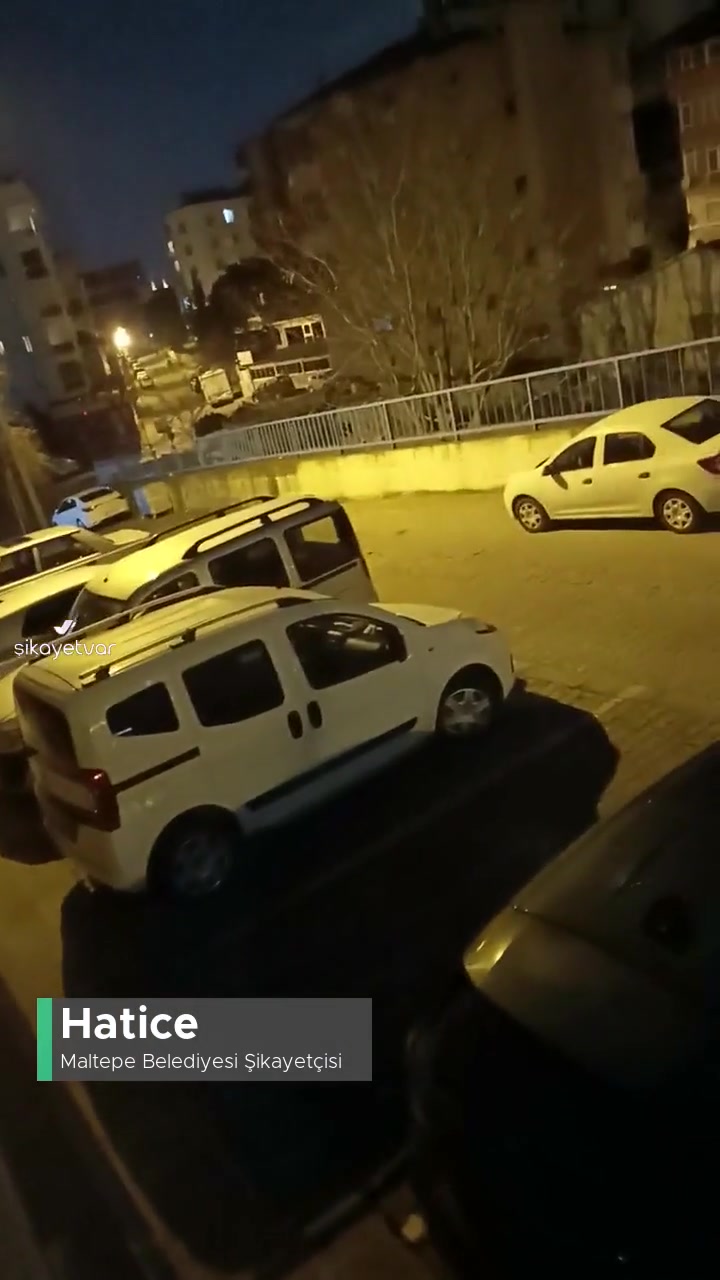 Maltepe Belediyesi Başıboş Köpeklerin Acilen Toplanılması! videonun kapak resmi