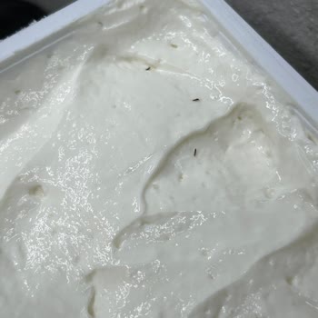 Beyaz Peynirde Beklenmedik Böcek Sorunu