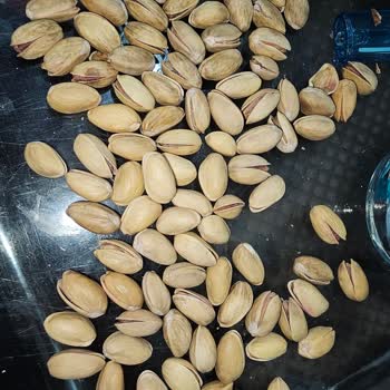 Bayat Ve Karışık Fıstık Gönderimi