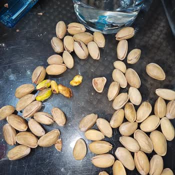 Bayat Ve Karışık Fıstık Gönderimi