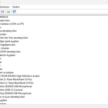 Bilgisayarımda Ses Çıkışı Sorunu